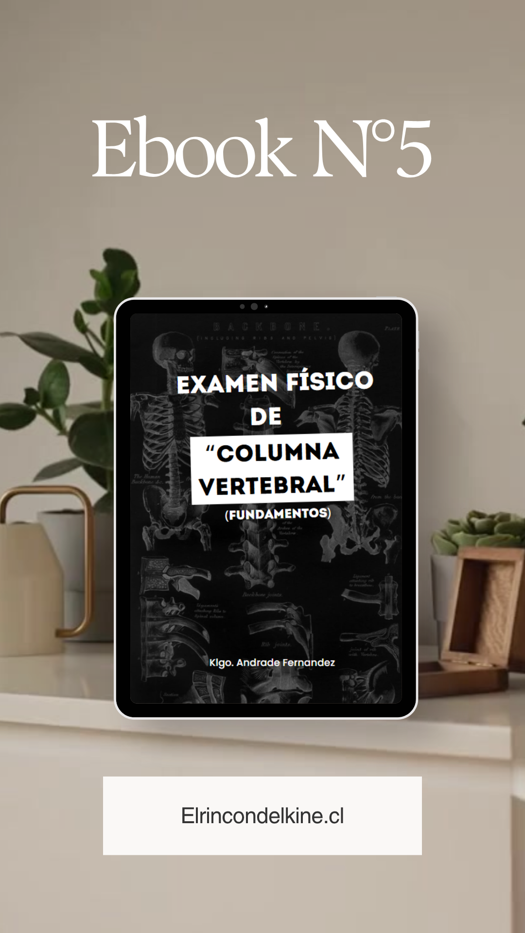 EBOOK Nº5 "EXAMEN FISICO DE COLUMNA VERTEBRAL"