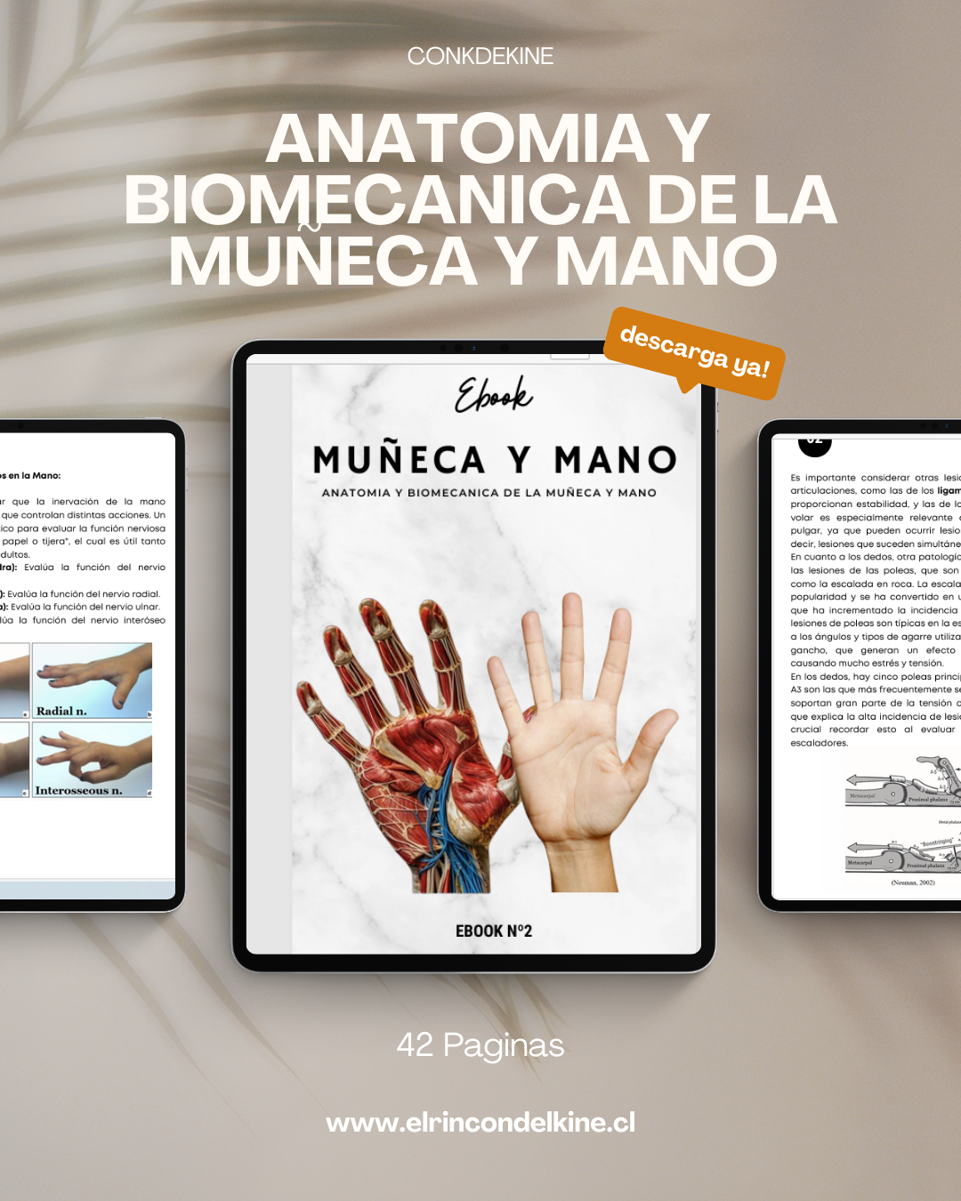 E-Book Nº2 Muñeca y Mano