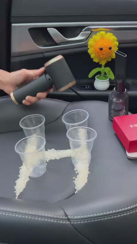 Aspiradora Portátil